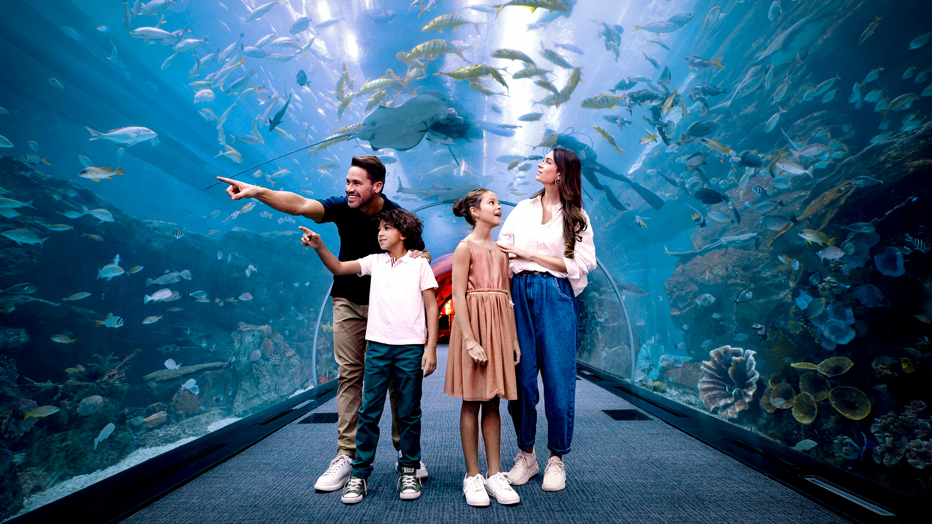 Dubai Aquarium & Underwater Zoo - Regular Pass, , large